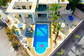 C Suite, Eilat